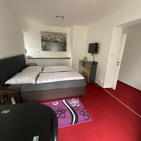 Homestay U Hanky Zdiby Εξωτερικό φωτογραφία